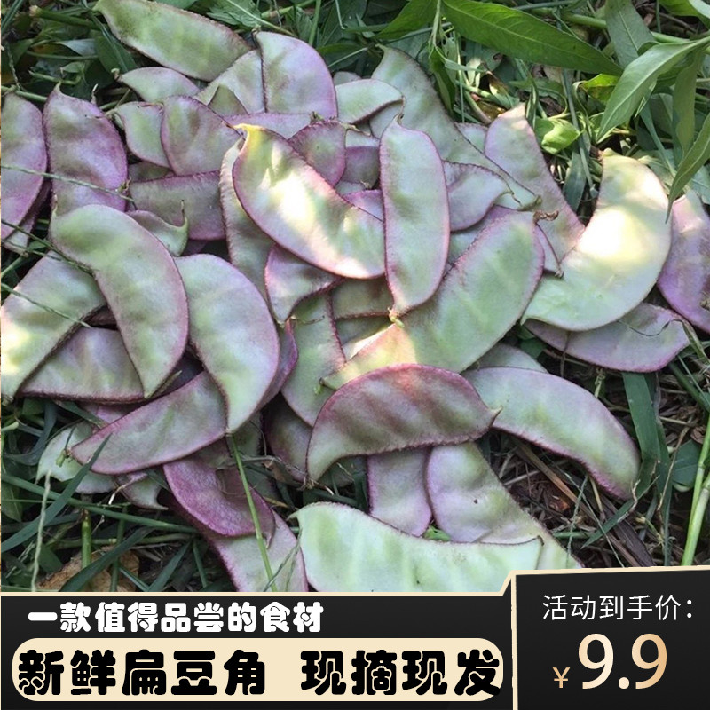 贵州农家新鲜扁豆角耳朵豆角扁豆眉豆猪耳朵豆紫边架豆新鲜蔬菜