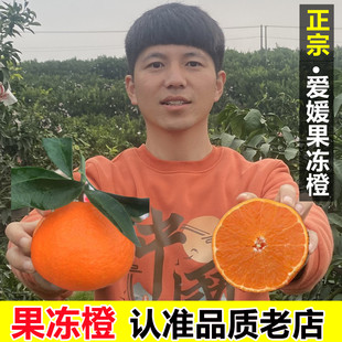 四川爱媛38号果冻橙10斤大果正宗新鲜孕妇水果当季红美人甜橙包邮