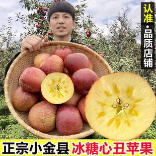 10斤净重四川正宗阿坝州小金县冰糖心丑苹果新鲜水果当季整箱包邮