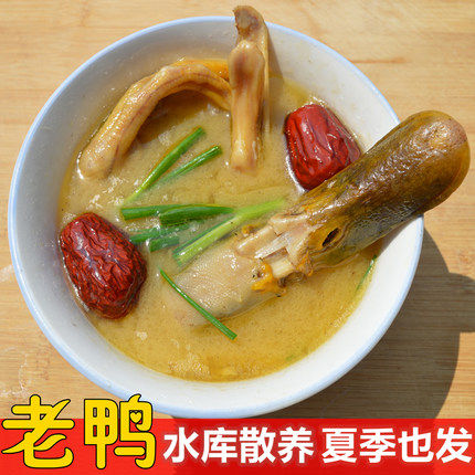 固始麻鸭水库农家散养土鸭大公鸭草鸭正宗农家老公鸭现杀顺丰包邮
