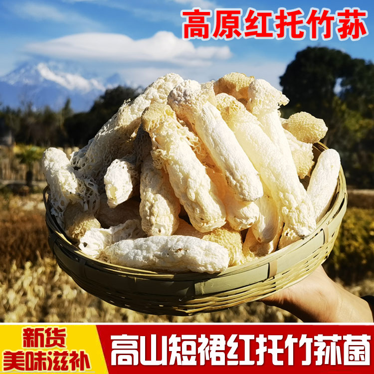 云南新鲜红托竹荪花干货仿野生短裙竹荪菌无硫煲汤食材非织金竹笙-封面