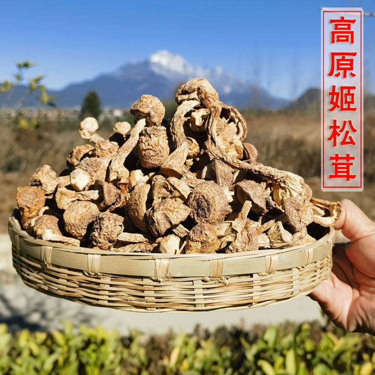 产地直销姬松茸干货云南野生菌