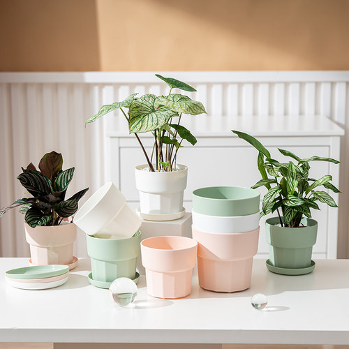 透气造型别致质量可靠花盆