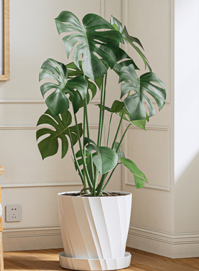 龟背竹花盆轻奢高级仿陶瓷塑料家用青山透气控根特价客厅专用白色