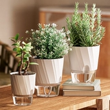 Ленивый самопоглощенный цветочный горшок Гидропонный растение