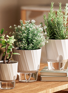 懒人自吸水花盆水培植物器皿绿萝专用线吸吸水盆自动塑料盆栽大号