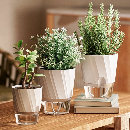 Ленивый самопоглощенный цветочный горшок Гидропонный растение