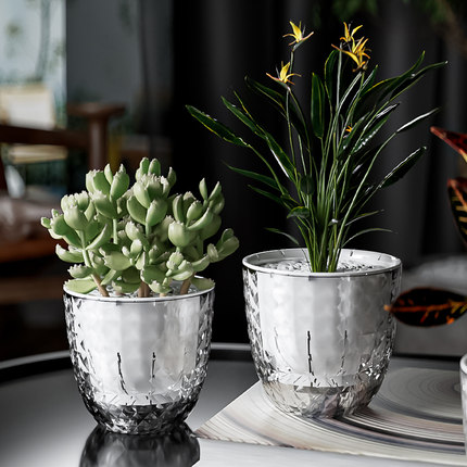 懒人多肉植物自吸水花盆透明水培器皿塑料玻璃水养专用花瓶设计感