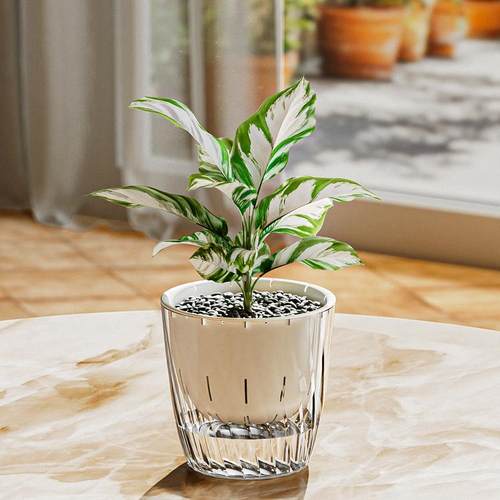 懒人自吸水花盆高级轻奢