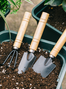 种花工具小铲子园艺种菜专用花铲挖土松土神器养花家用栽花盆栽铲