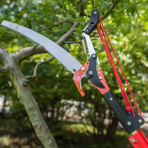 Инструменты для садоводства, ветви, ножницы для сада фруктовых деревьев, высокие ветви, ветви, ветви, ветви, ветви, ветви и ножницы