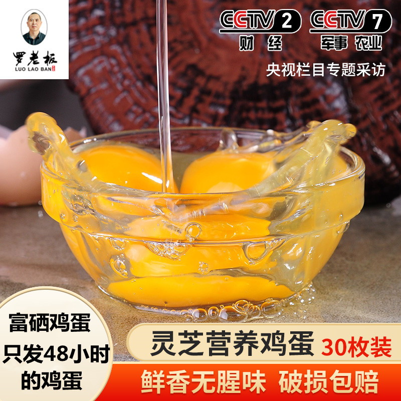 寻乌县正宗老罗老板灵芝鸡蛋30枚包邮富硒营养农家草柴土蛋新鲜蛋