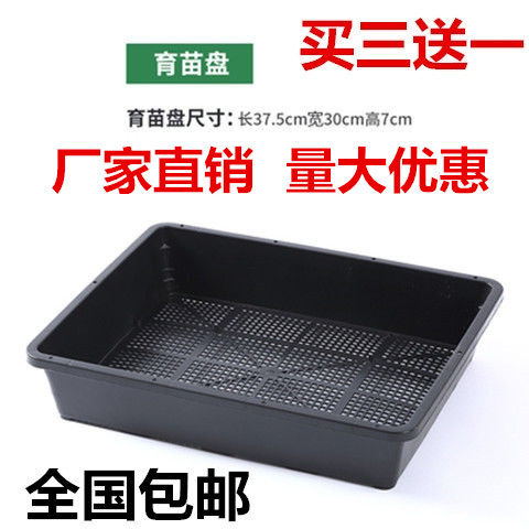 加厚耐用塑料多肉育苗盘大号