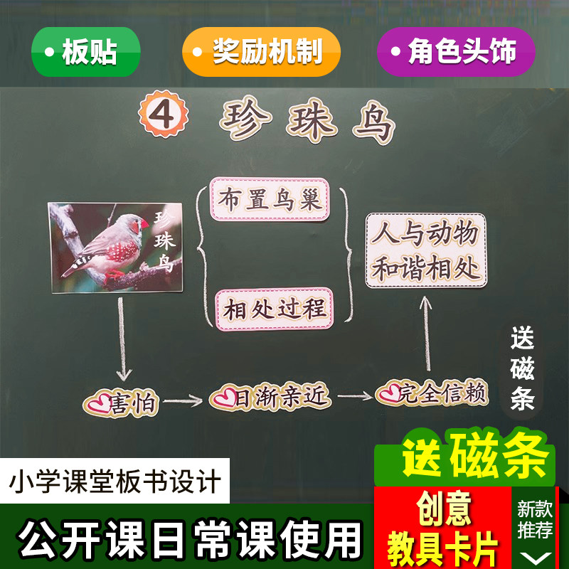 珍珠鸟小学五年级上册语文板书设计公开课优质课课堂黑板教具卡片