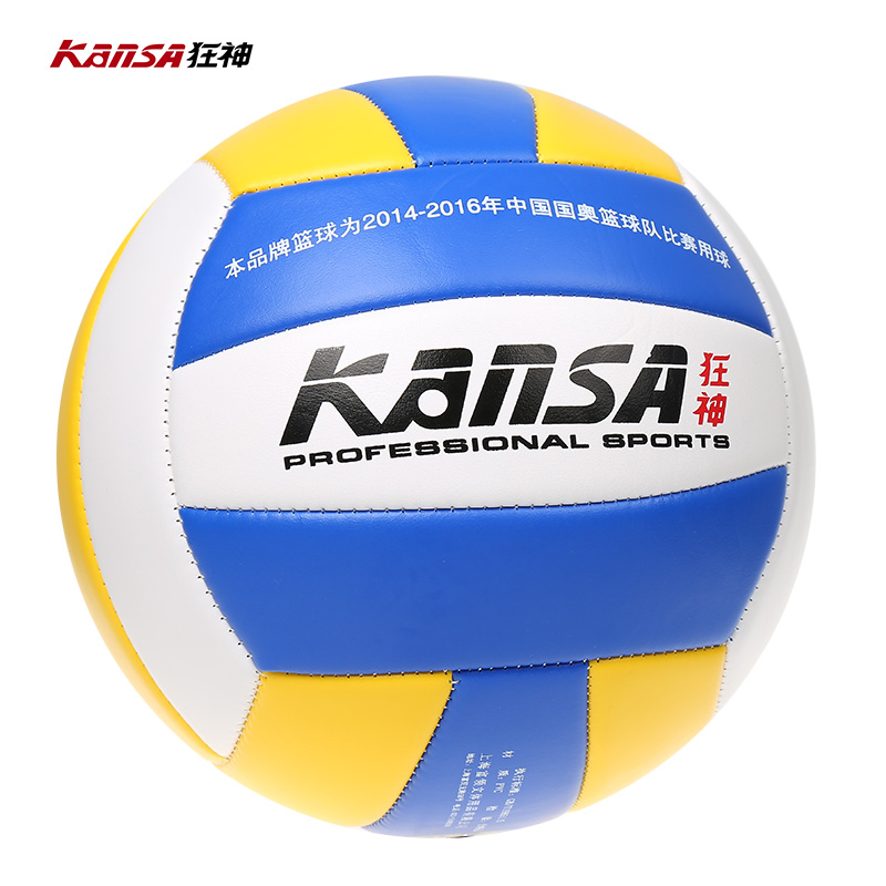 Ballon de volley - Ref 2008027 Image 5