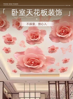 遮丑美化装饰贴画墙上PVC