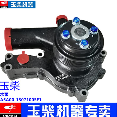 玉柴原装水泵YC6A发动机