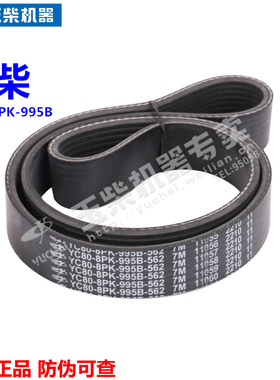 玉柴4110发动机原厂YC80-8PK-995风扇水泵多契带4E货客车工程机械