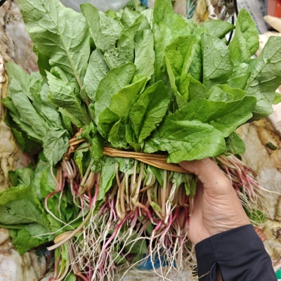 贵州农家自种新鲜红萝卜菜当季新鲜蔬菜时令蔬菜现摘现发