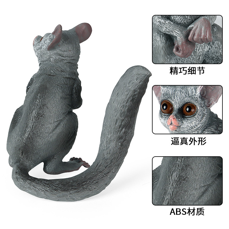 跨境仿真澳洲有袋类动物鼠类模型