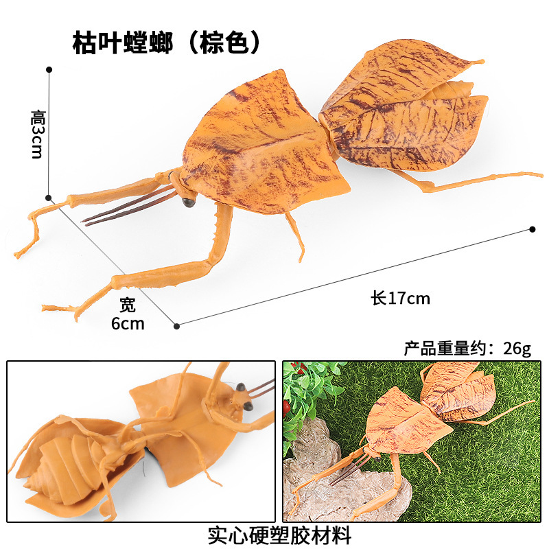 实心儿童认知玩具仿真节肢昆虫模