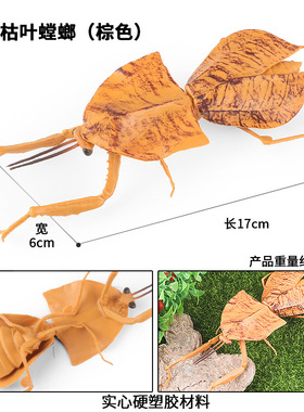 实心儿童认知玩具仿真节肢昆虫模型枯叶螳螂盆栽装饰手办桌面摆件