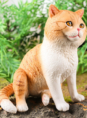 跨境仿真动物模型实心大号短毛猫