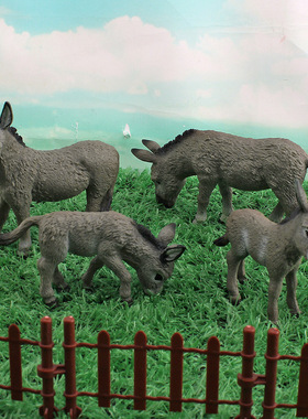 跨境仿真动物灰驴子模型儿童认知农场家畜驴崽静态手办摆件玩具