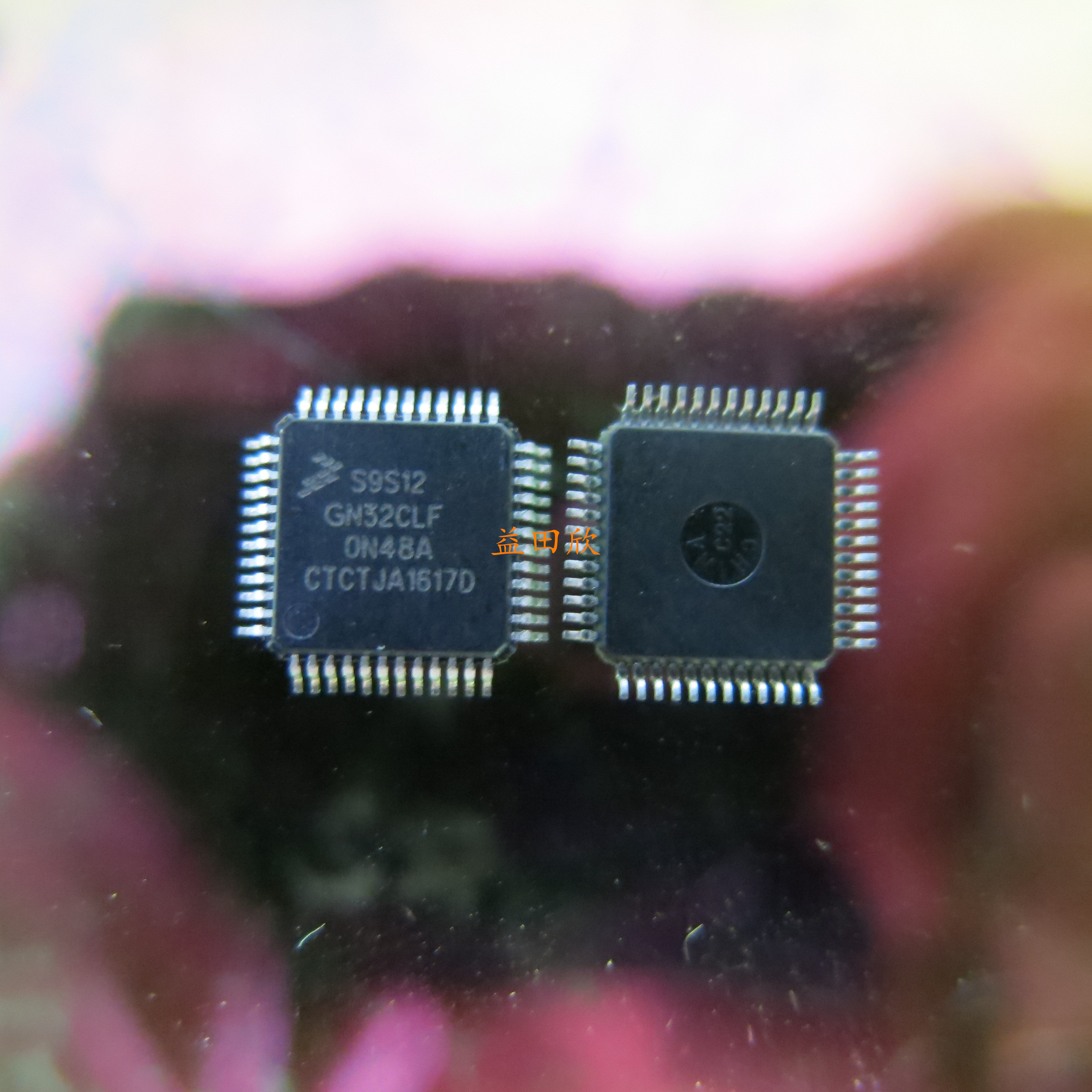正品 S9S12GN32CLF  S9S12GN32F0CLF S9S12GN32 现货直拍