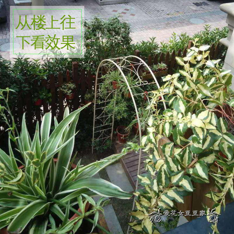 管壁加粗 门宽1.45 -1.7米花园拱门爬藤花架支架铁艺花门攀爬庭院