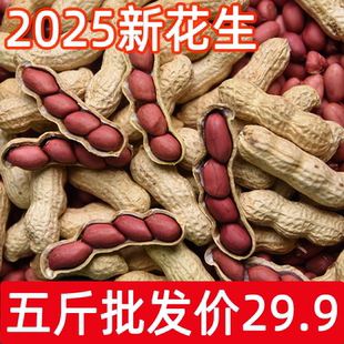 红皮花生2025新货新鲜生花生带壳新鲜晒干红皮衣花生米炒熟货