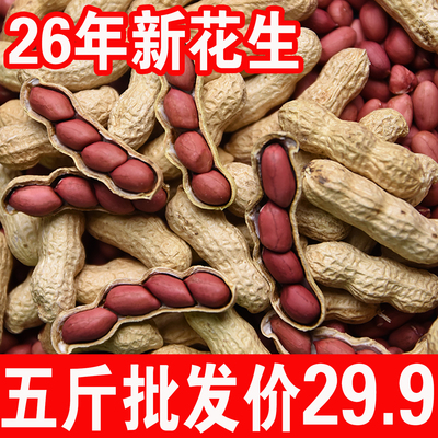 2026年新花生米生花生米
