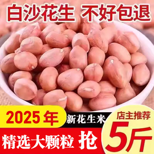 2025年新花生米生花生米白沙商用精品优质生的花生米新鲜货批发价