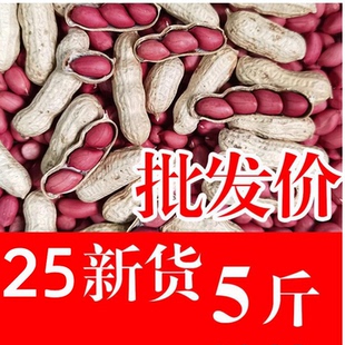 2025年新红皮花生米生新货生花生带壳晒干新鲜红衣炒货花生新鲜