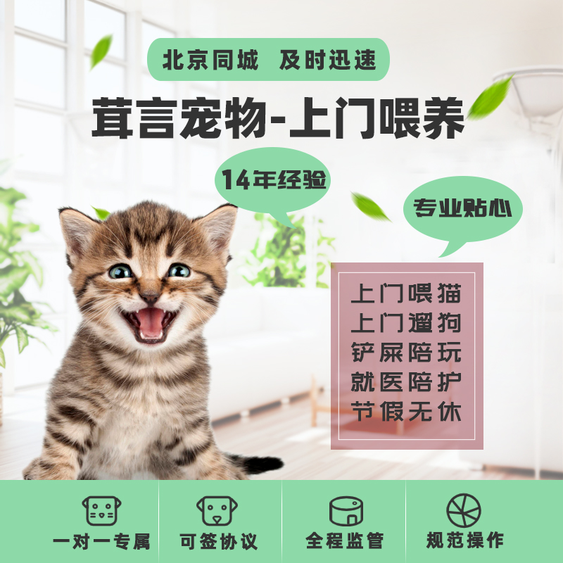 茸言北京上门喂猫遛狗宠物保姆上门喂养铲屎猫咪代喂寄养托管同城