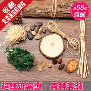 摄影道具套装 淘宝拍照拍摄道具 复古摆件套装 松果木片森林宝贝