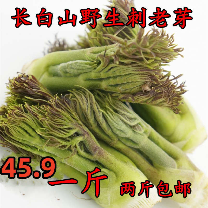 东北蘸酱菜山野菜纯野生