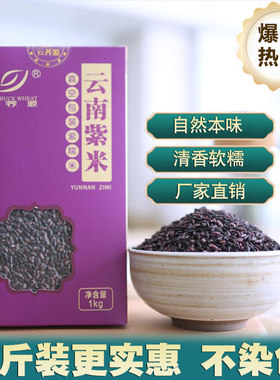 云南紫米4斤紫米紫糯米