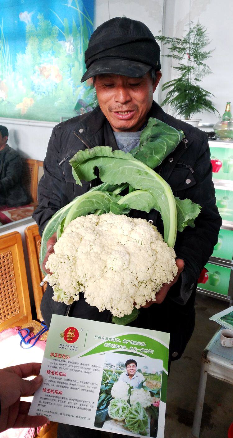 豫艺种业菜花种子珍玉松花80 青梗菜花花椰菜有机花菜松花菜在类目 农用物资, 种子/种苗, 蔬菜种子中 - 来自Buy2taobao.com提供专业的淘宝代购服务