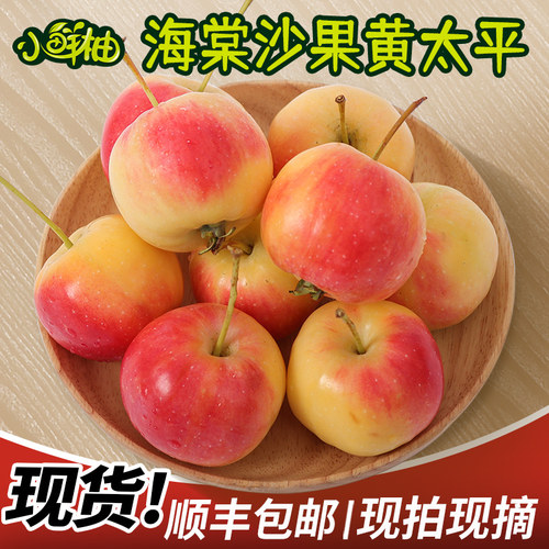 现货东北沙果黄太平海棠果顺丰