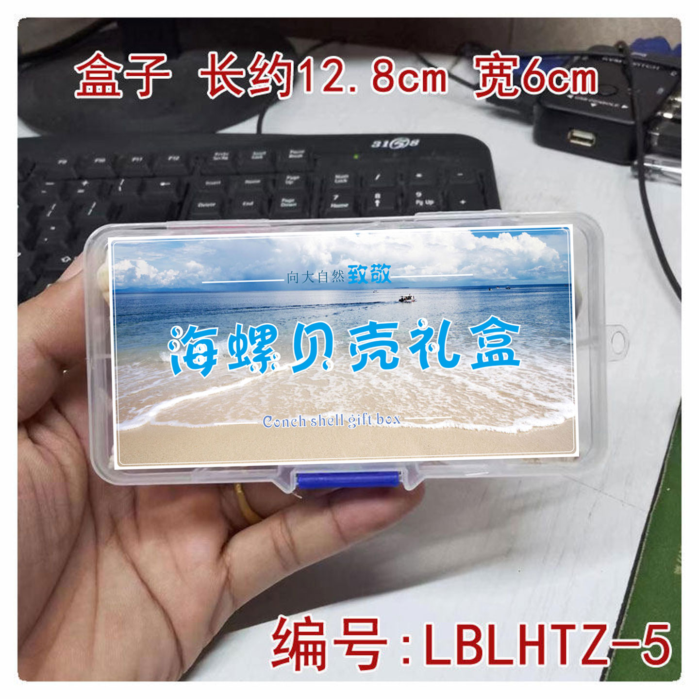天然海螺贝壳珊瑚收纳礼盒装标本海螺造景橱窗摆设装饰品收藏礼物