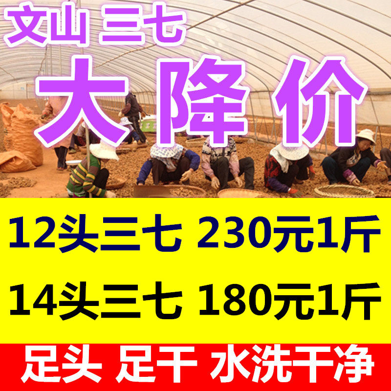 云南文山春三七30头20头三七头田七500g可代磨三七粉正品包邮