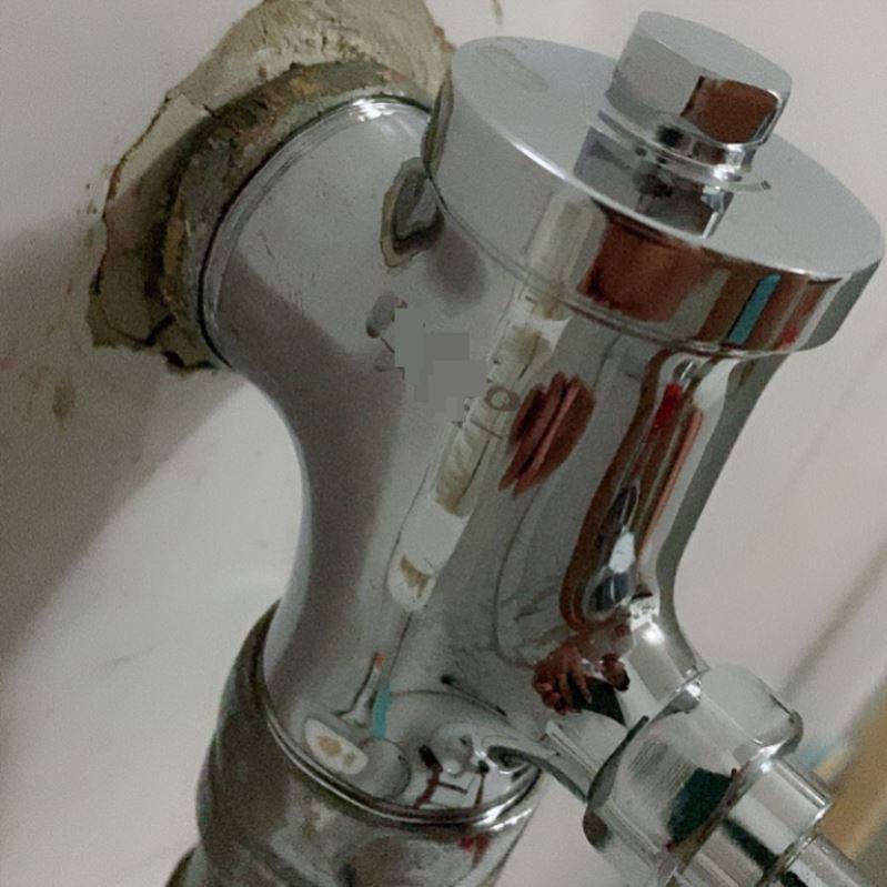 全铜手按式冲水阀大便冲洗阀蹲便器便池蹲坑入墙冲水器按钮延时阀