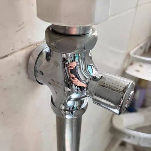 蹲便器冲水阀自闭式卫生间冲便器手按式厕所开关延时阀大便冲洗阀