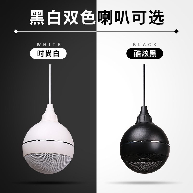 先科蓝牙吸顶吊球音响悬挂式功放套装餐厅奶茶店铺圆球形音箱