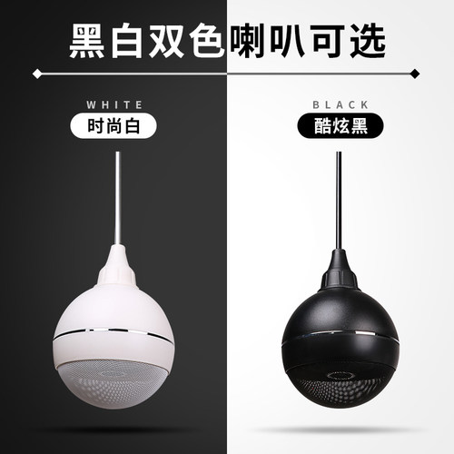先科蓝牙吸顶吊球音响悬挂式功放套装餐厅奶茶店铺圆球形音箱