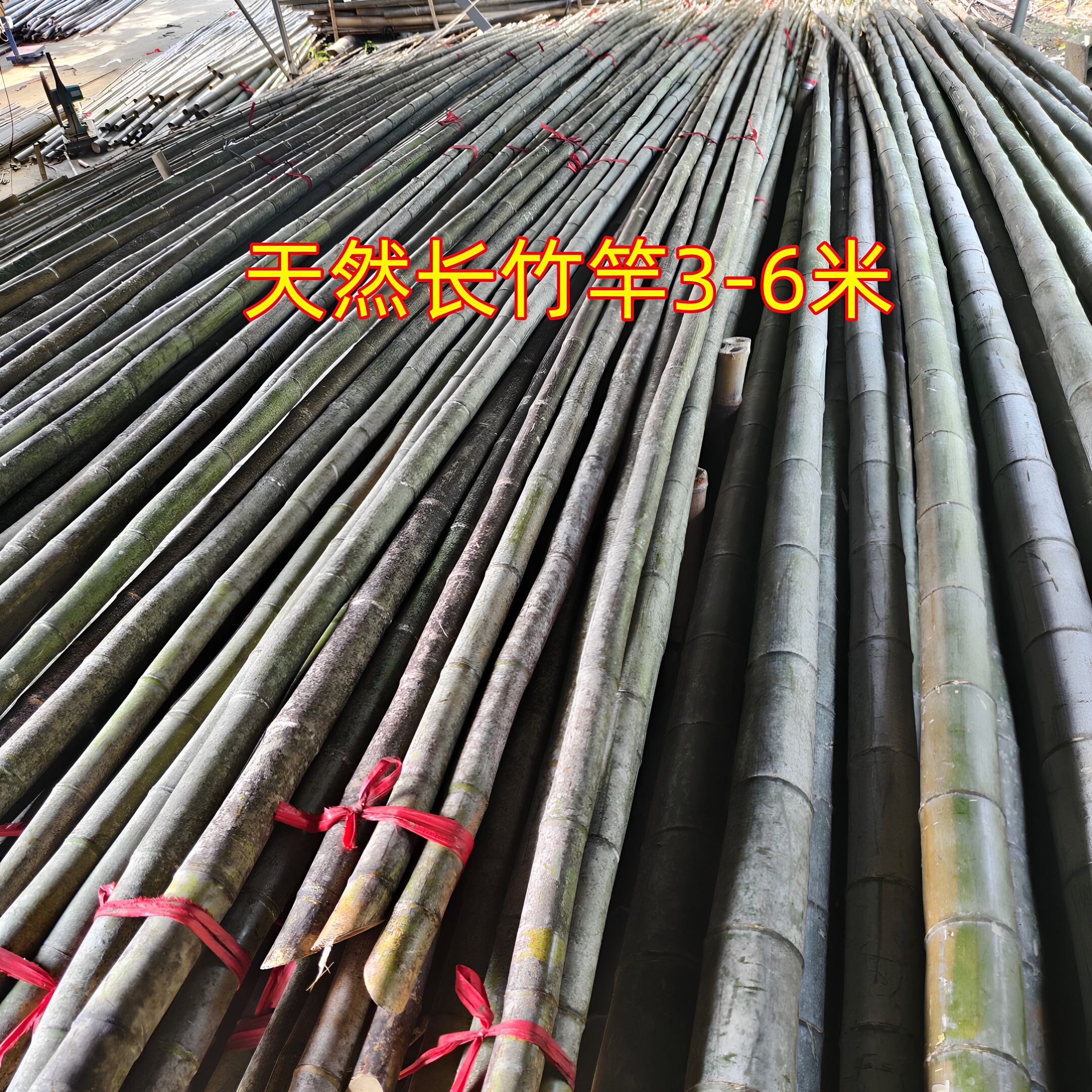 长竹竿防溺水救援救生竹杆竹子