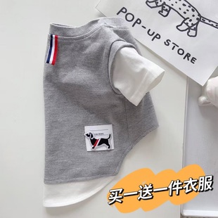 宠物狗狗猫咪衣服夏季 棉T恤 薄款 背心泰迪比熊博美雪纳瑞卡通无袖