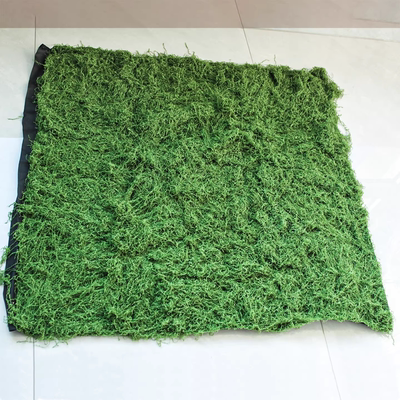 仿真苔藓绿植青苔草皮室内造景橱窗酒店餐厅楼梯微景观软装装饰草