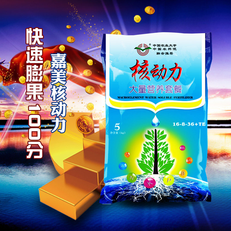 嘉美进口大量元素西甜瓜高钾